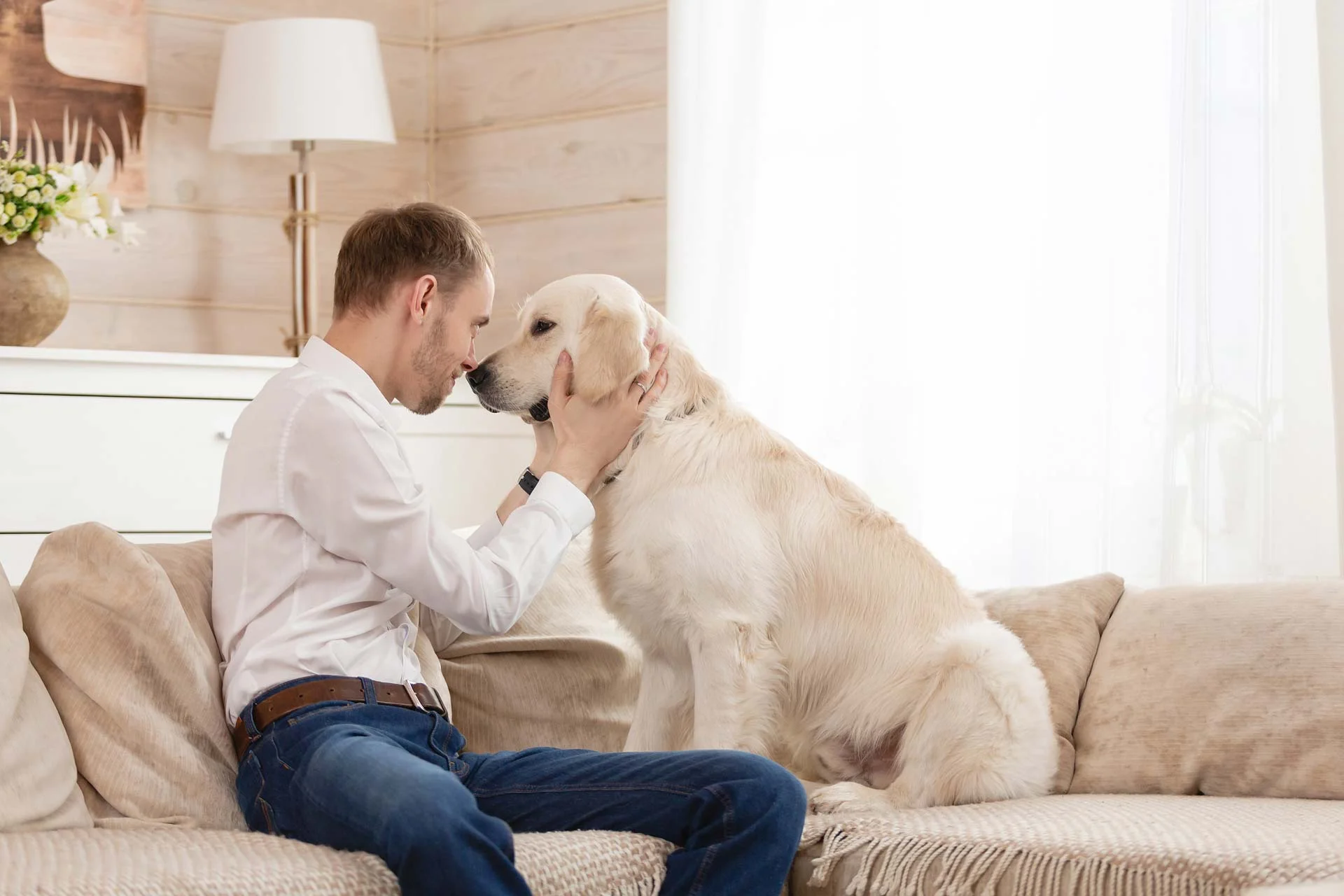 How To Set House Rules for Your New Puppy or Dog