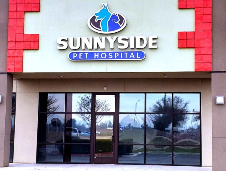 About Us Sunnyside Pet Hospital